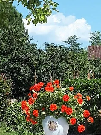 Le Mazet D'olt Bed & Breakfast *